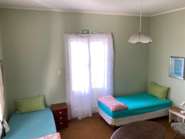 Honeysuckle House Hostel Nelson Buitenkant foto